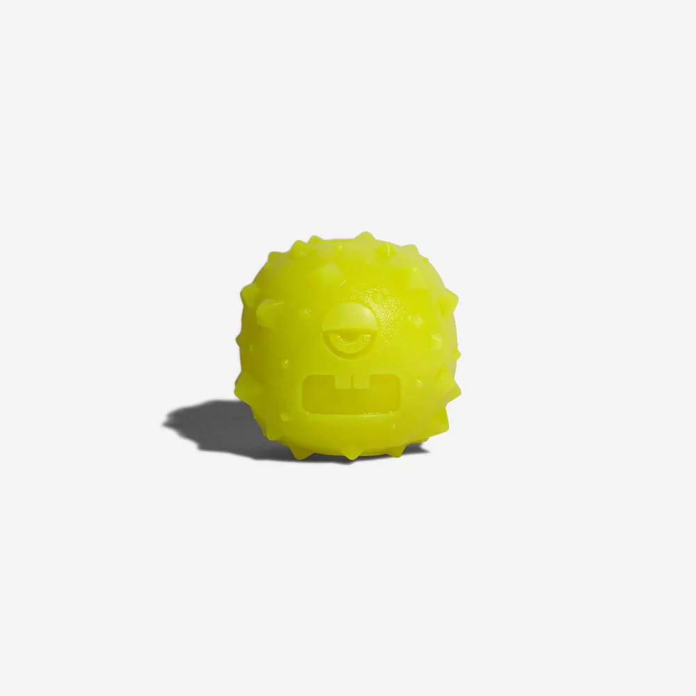 Brinquedo para Cachorros Rob The Microbe