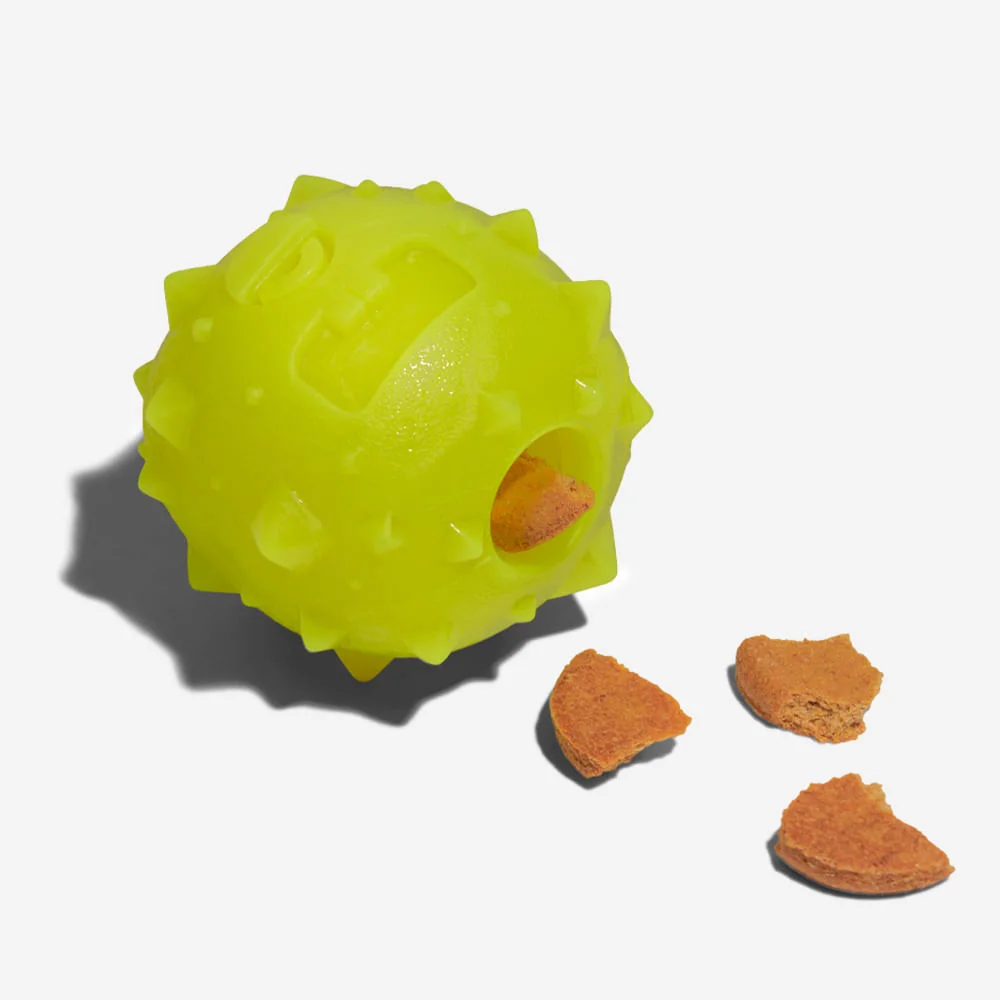Brinquedo para Cachorros Rob The Microbe