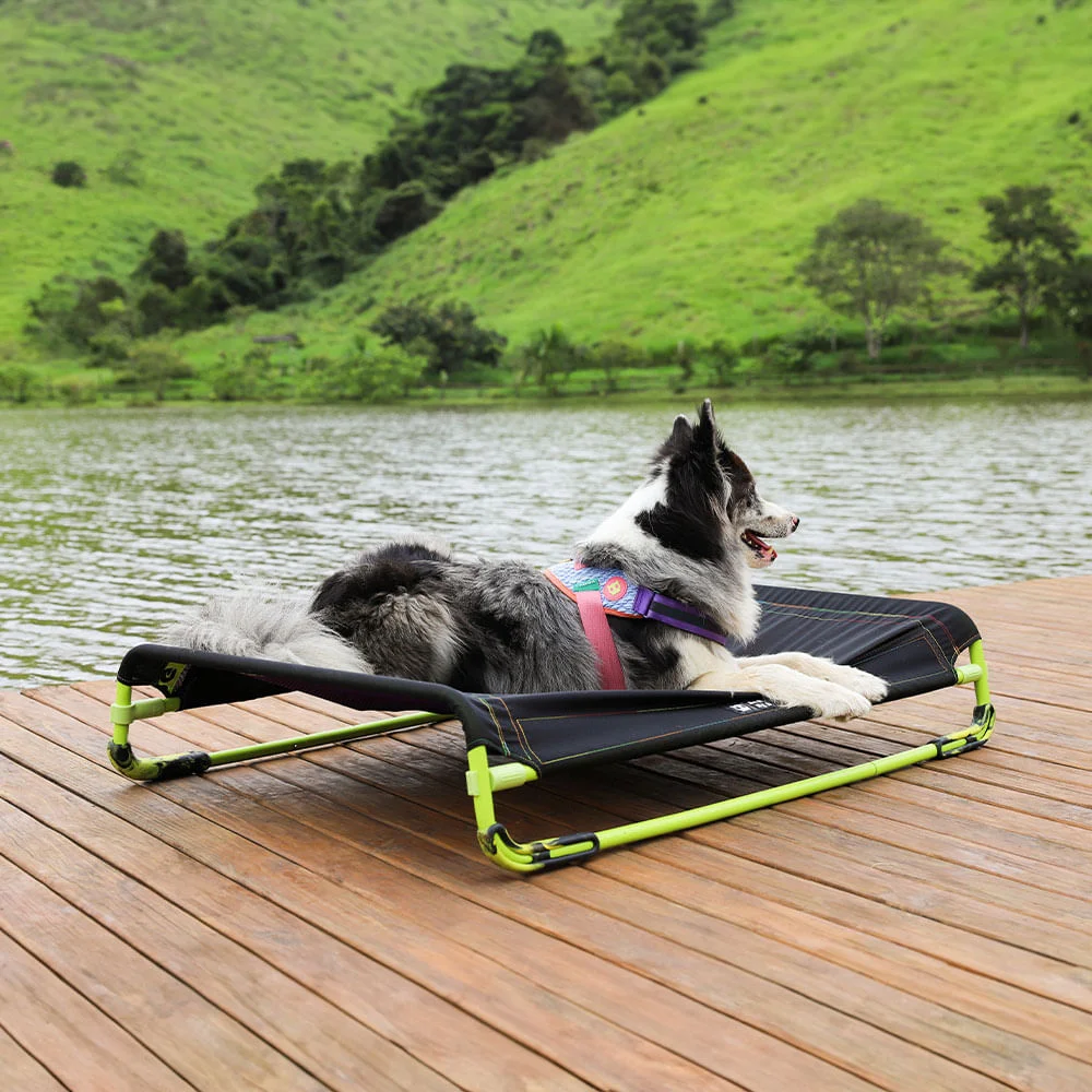 Cama para Cachorros Air.Bed Preta