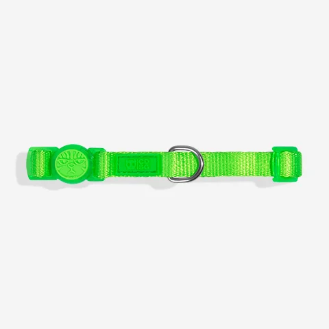 Coleira CDSG x Zee.Dog para Gatos Verde