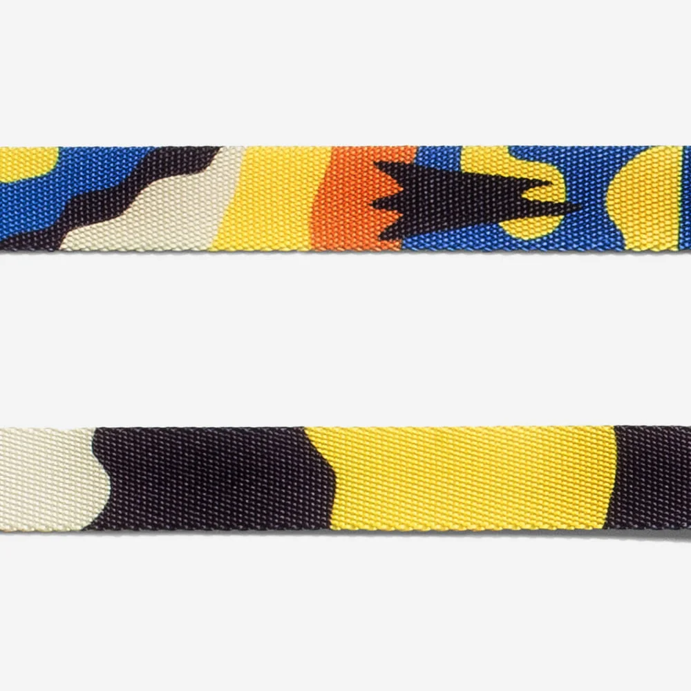 Coleira para Cachorros Artsy