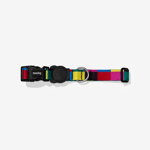 Coleira para Cachorros Colorbless