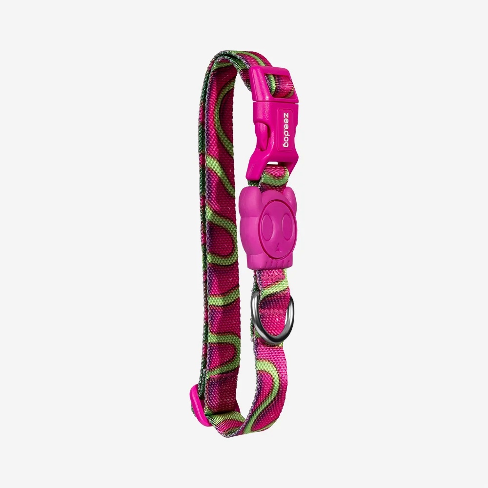 Coleira para Cachorros H3D Jelly