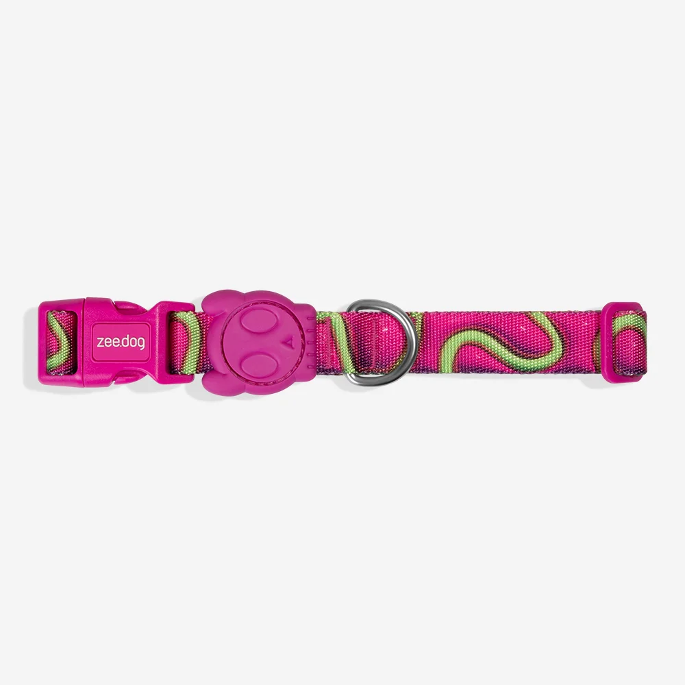 Coleira para Cachorros H3D Jelly