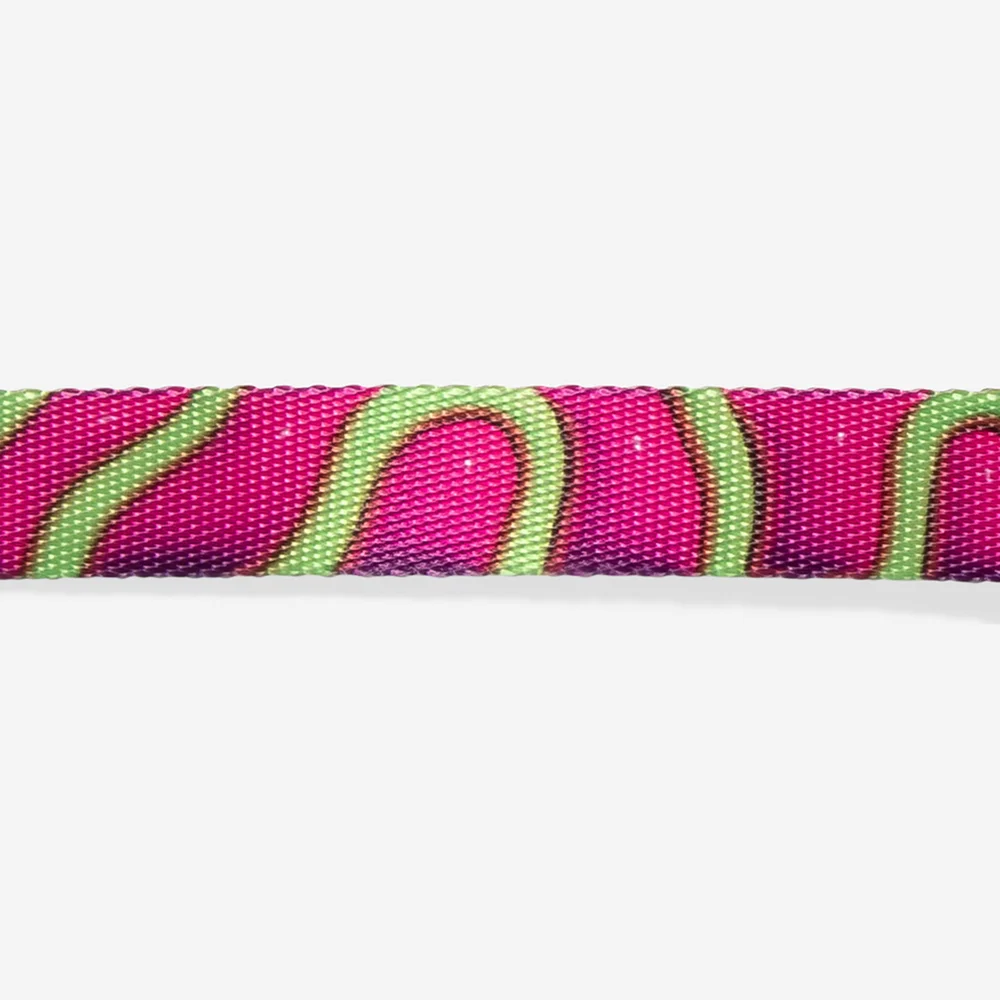 Coleira para Cachorros H3D Jelly