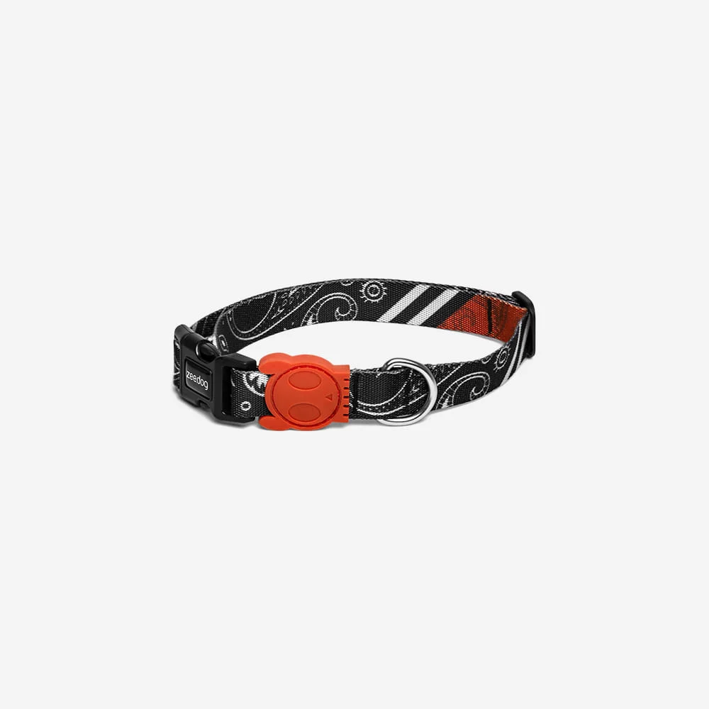 Coleira para Cachorros Paisley