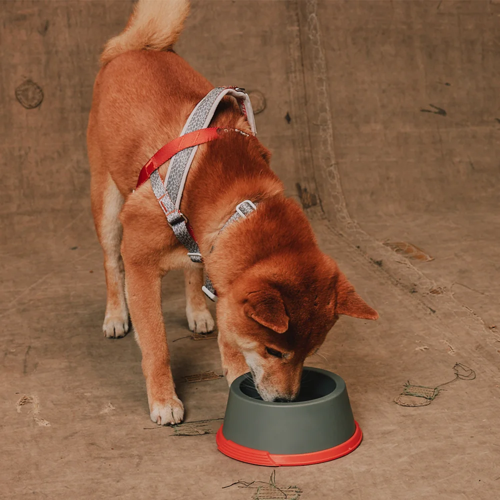 Comedouro para Cachorros de Melamina Reebok Suede
