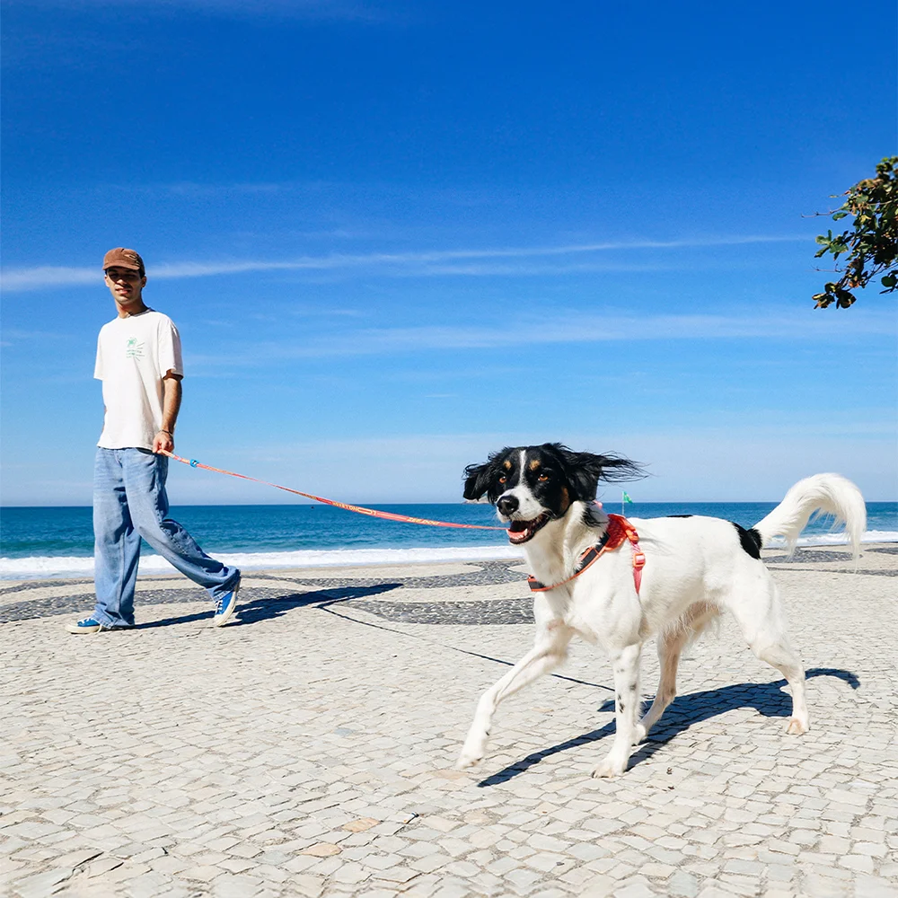 Guia Longa para Cachorros Reebok Aerobic