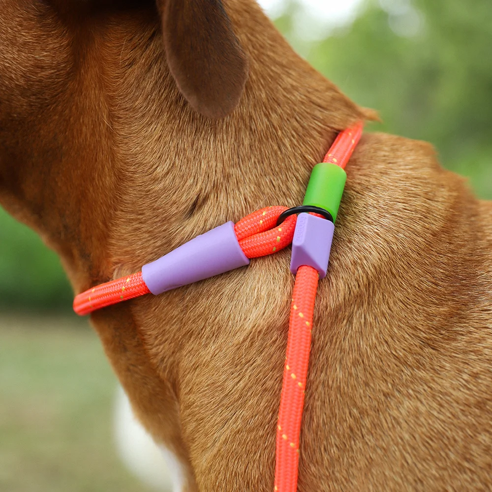 Guia Unificada Slip-n-Lock para Cachorros Everest