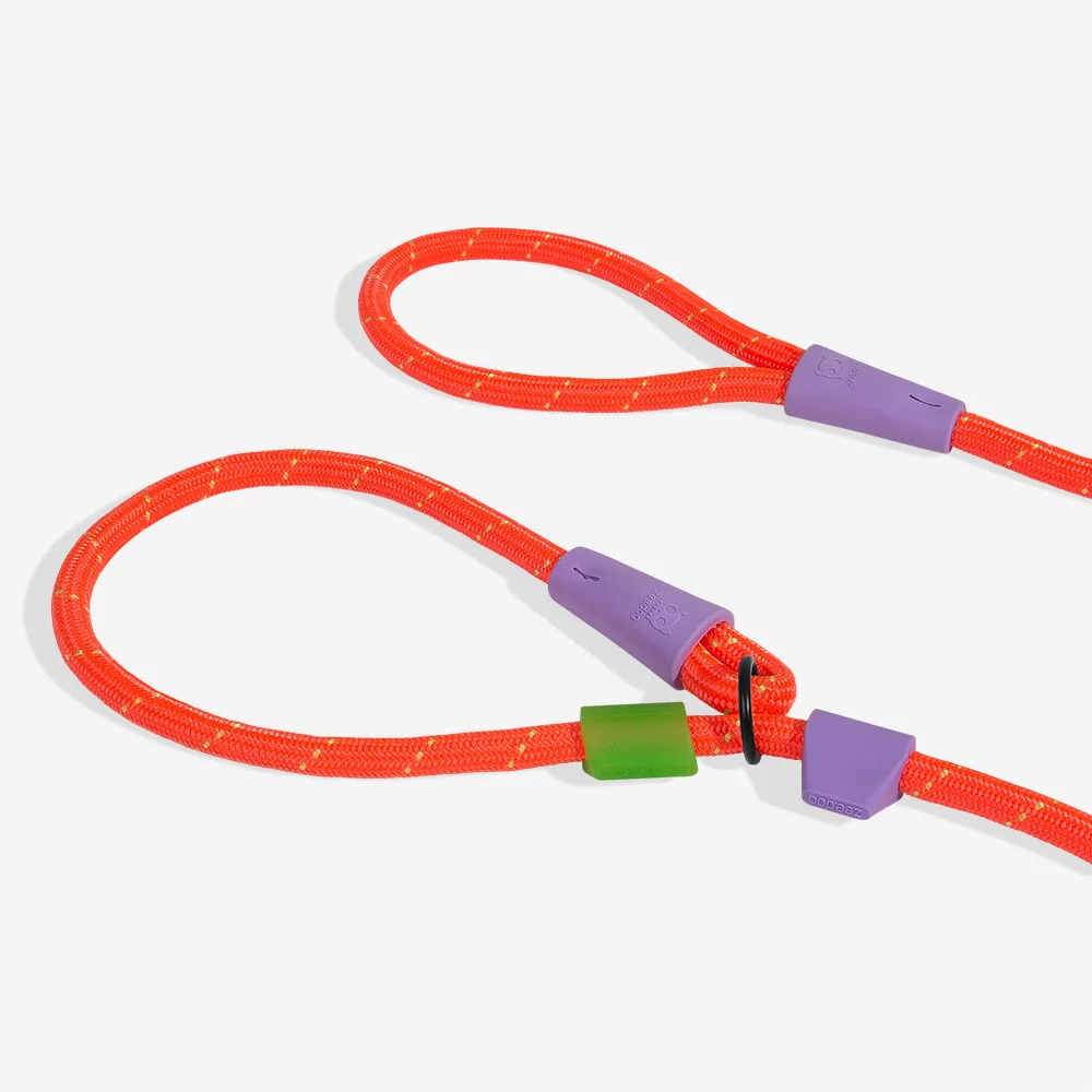 Guia Unificada Slip-n-Lock para Cachorros Everest