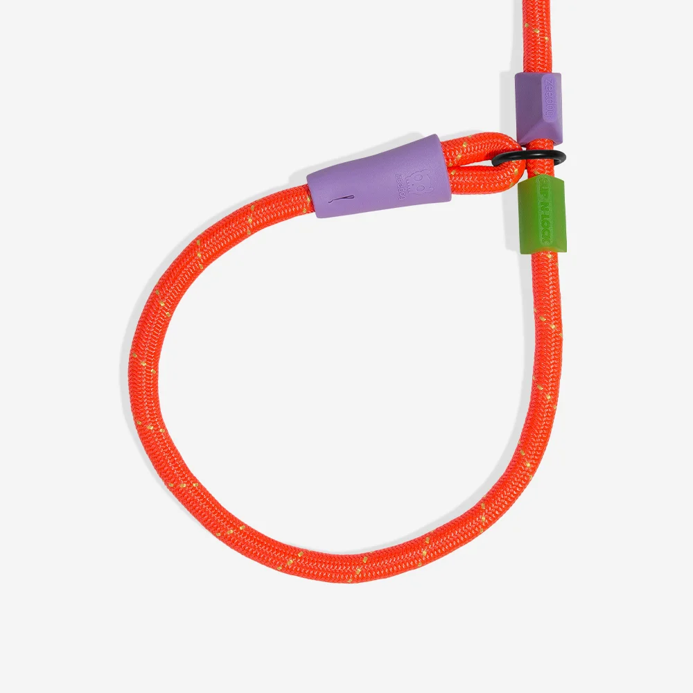 Guia Unificada Slip-n-Lock para Cachorros Everest
