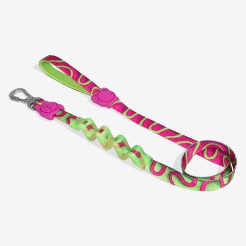 Guia com Amortecedor para Cachorros H3D Jelly