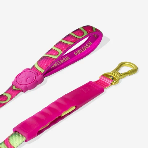 Guia para Cachorros Airleash H3D Jelly