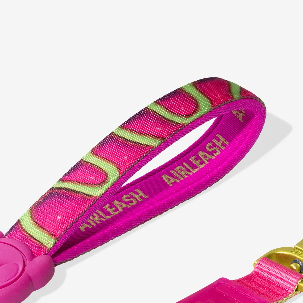 Guia para Cachorros Airleash H3D Jelly