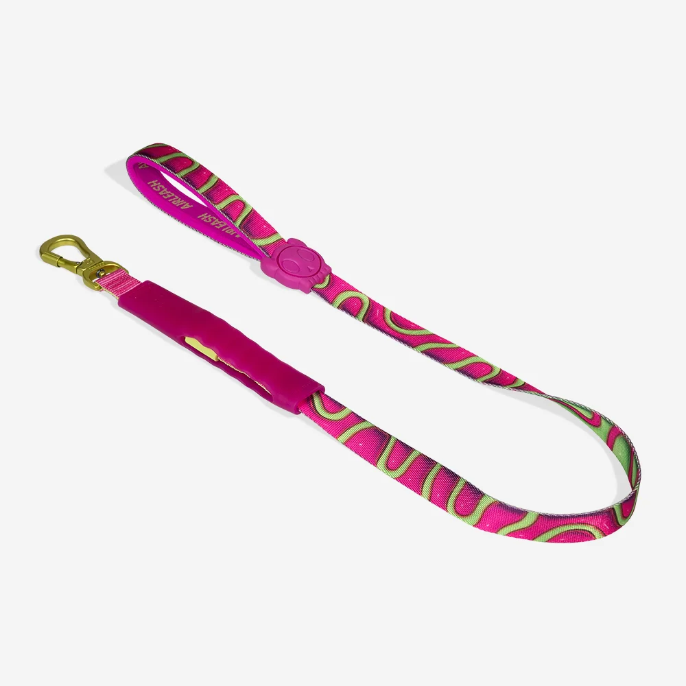 Guia para Cachorros Airleash H3D Jelly