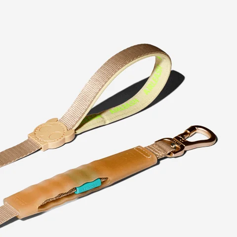 Guia para Cachorros Airleash Kim