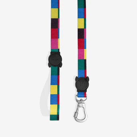 Guia para Cachorros Colorbless