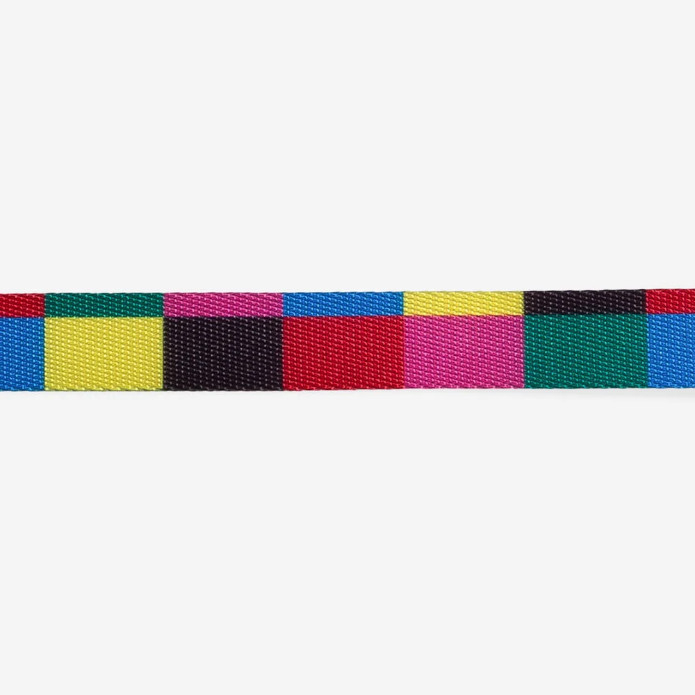 Guia para Cachorros Colorbless