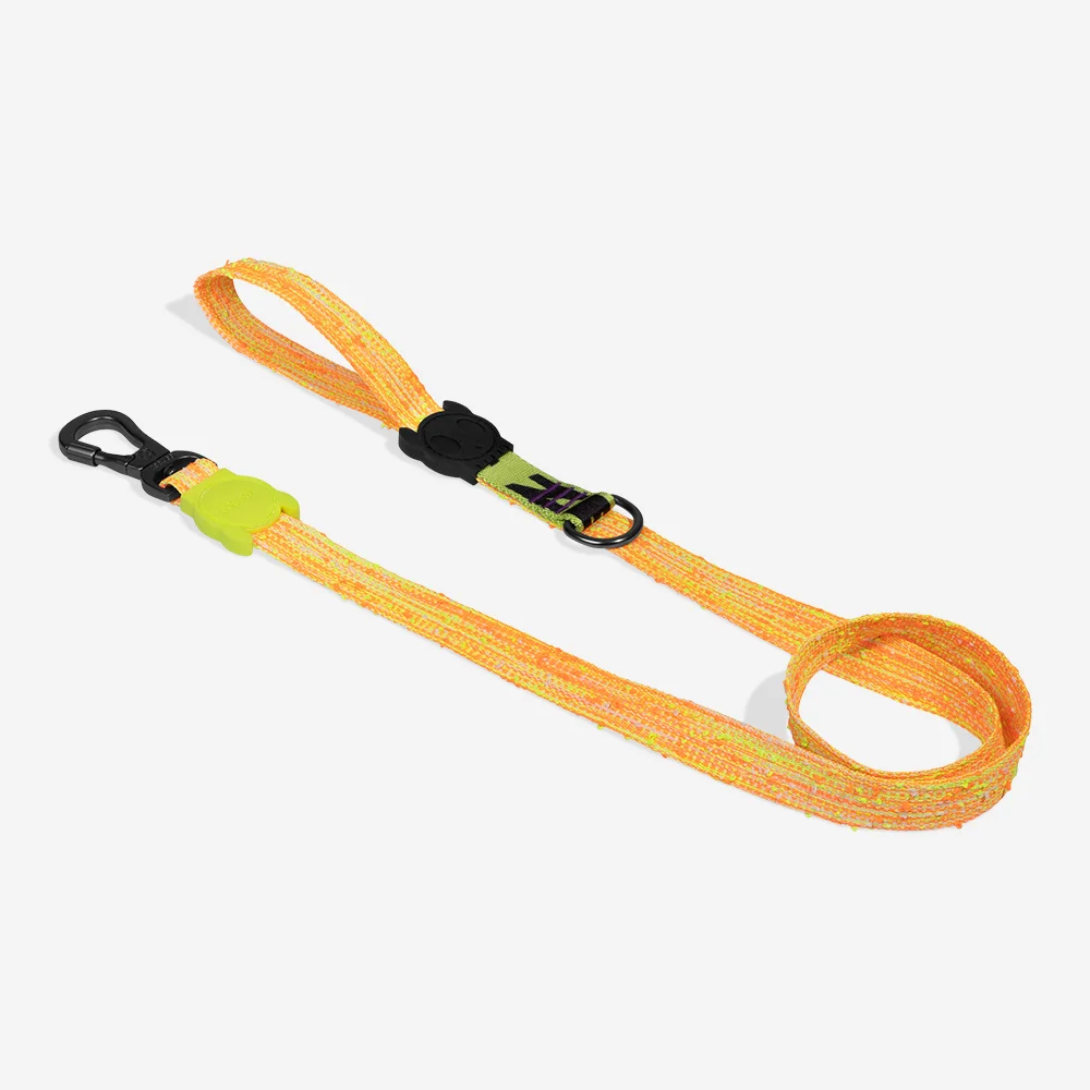 Guia para Cachorros Fuse Bikr