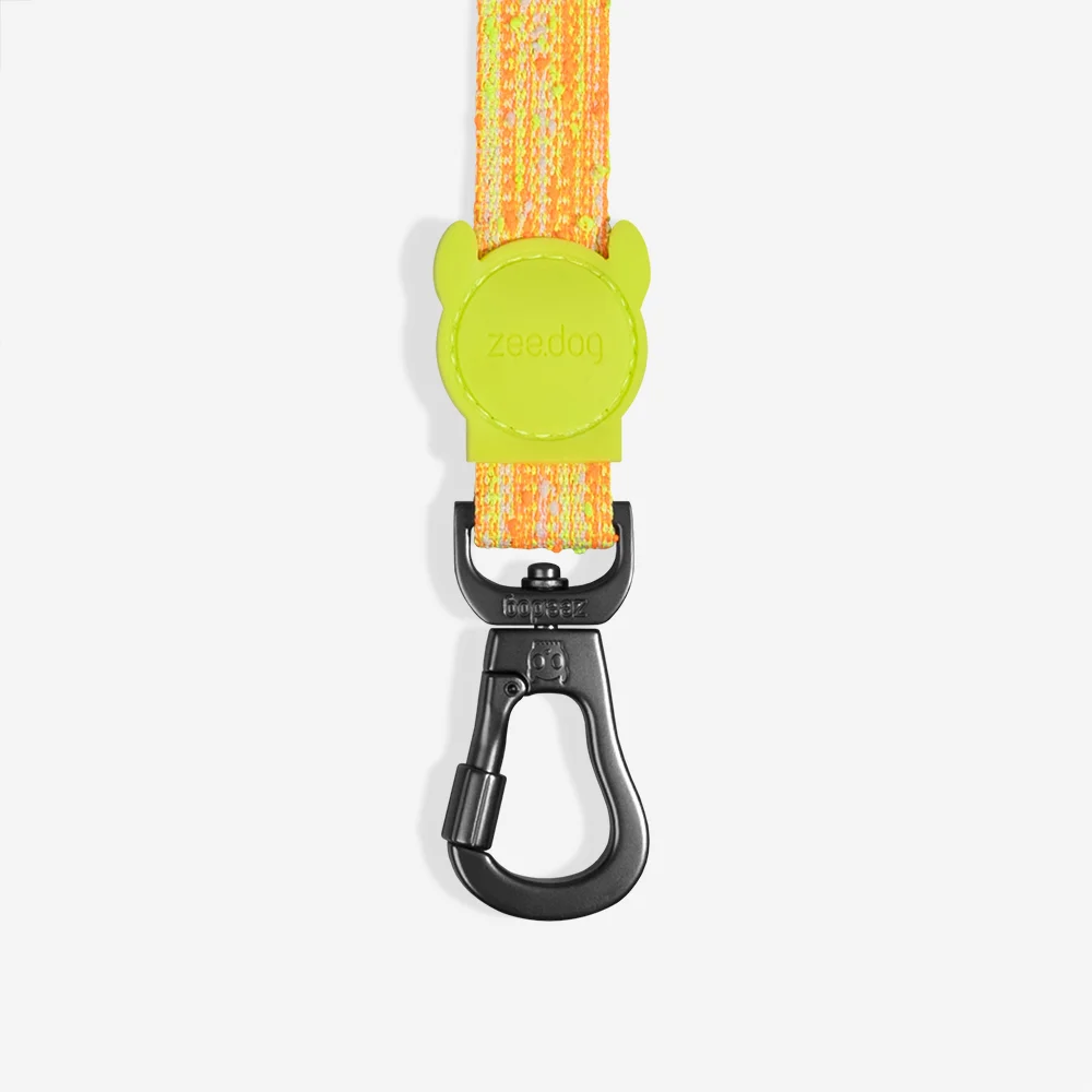 Guia para Cachorros Fuse Bikr