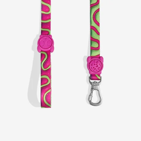 Guia para Cachorros H3D Jelly