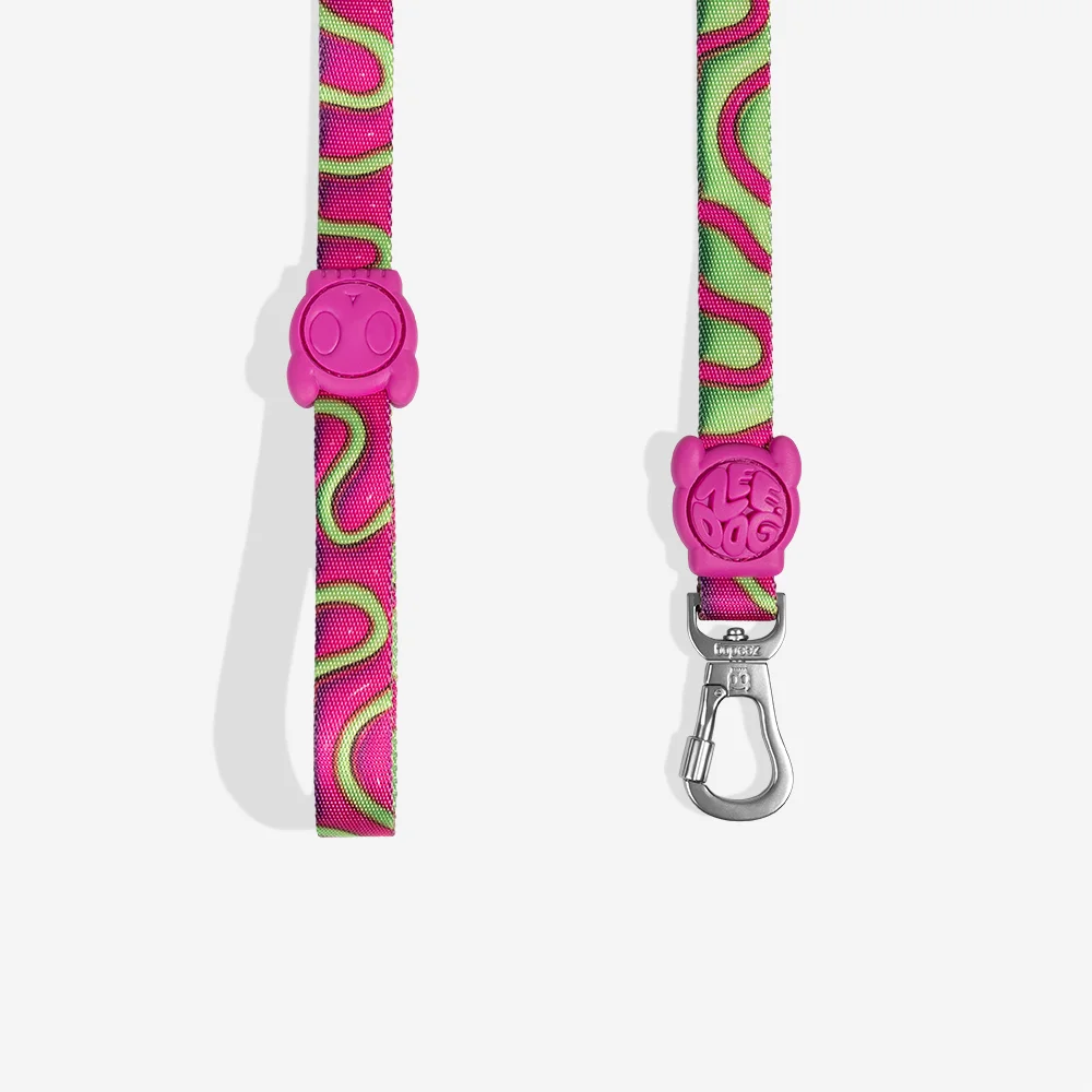 Guia para Cachorros H3D Jelly