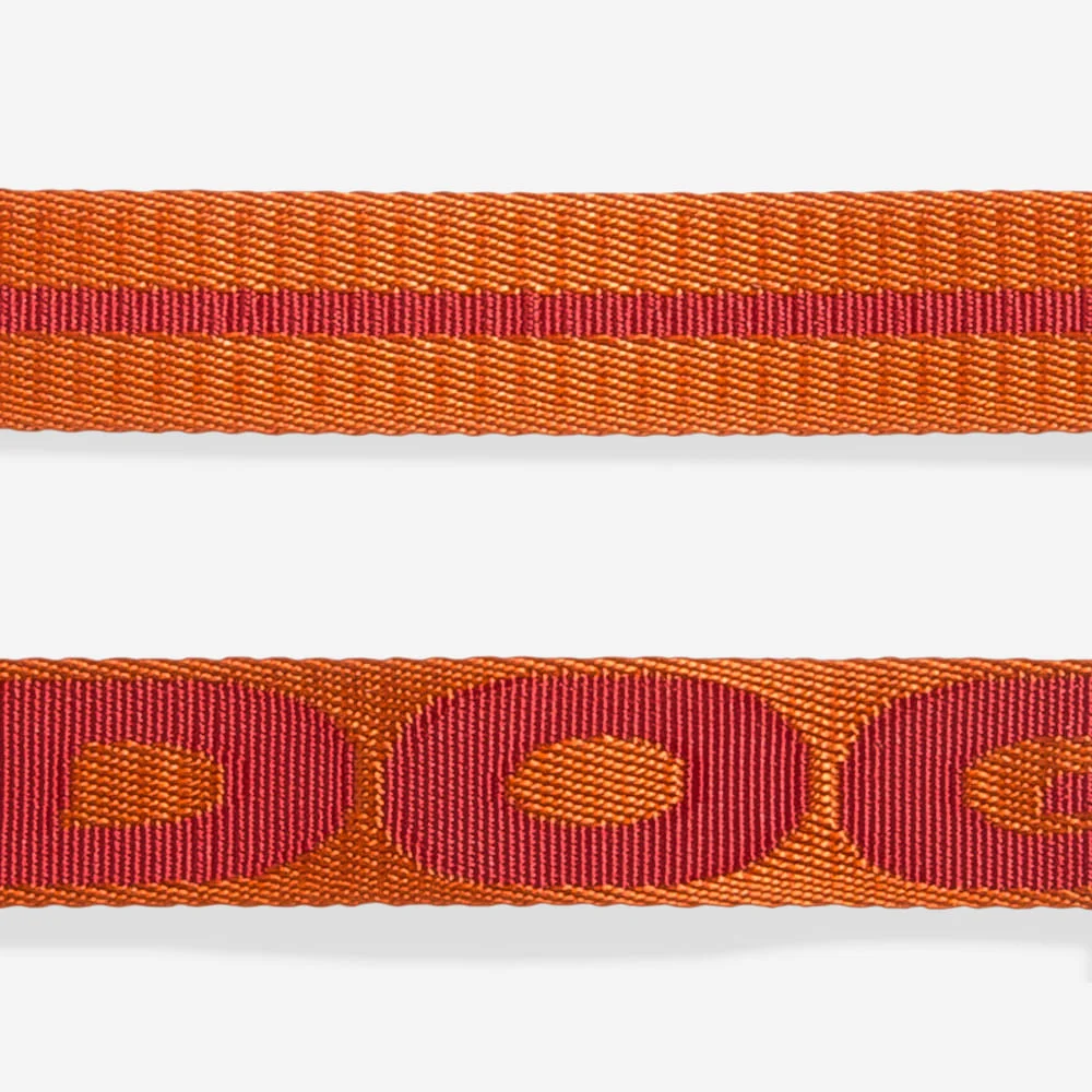 Guia para Cachorros Jacquard Gibson
