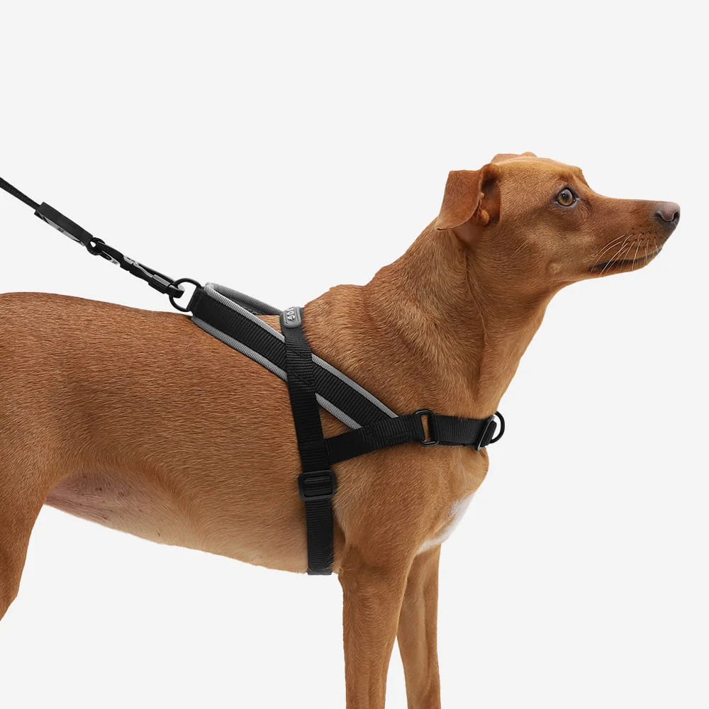 Peitoral Antipuxão SofterWalk para Cachorros Gotham