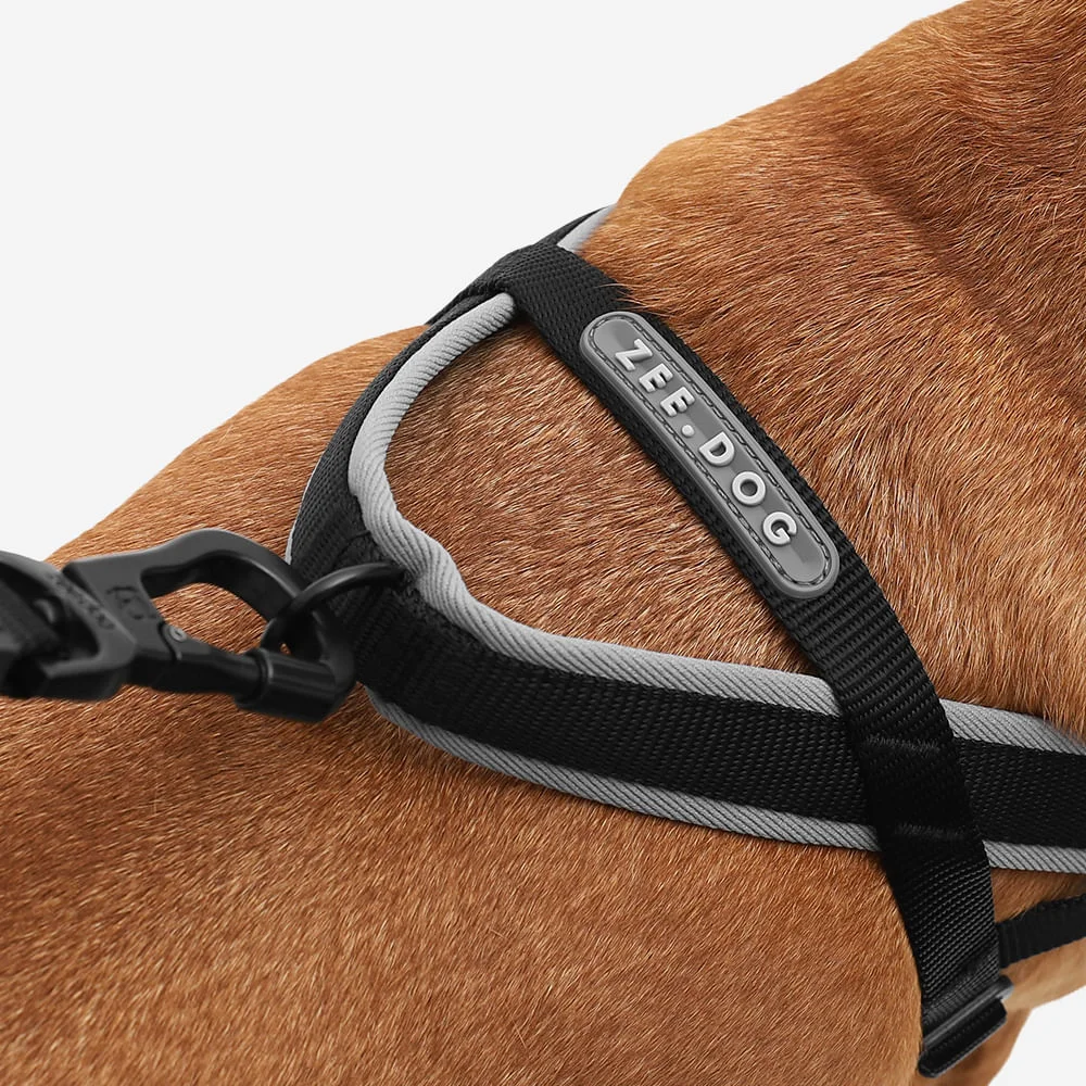 Peitoral Antipuxão SofterWalk para Cachorros Gotham