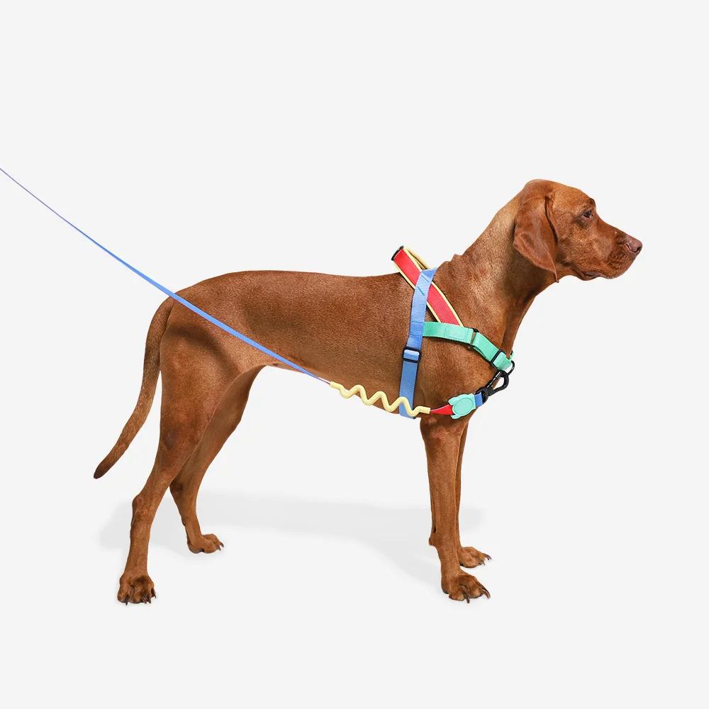 Peitoral Antipuxão SofterWalk para Cachorros Mellow