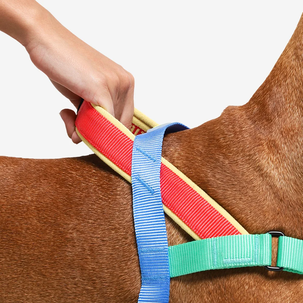 Peitoral Antipuxão SofterWalk para Cachorros Mellow