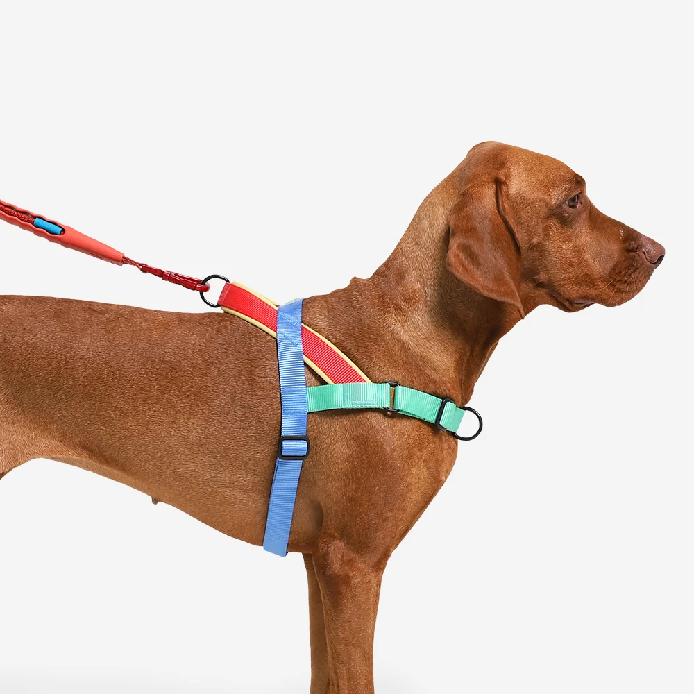 Peitoral Antipuxão SofterWalk para Cachorros Mellow