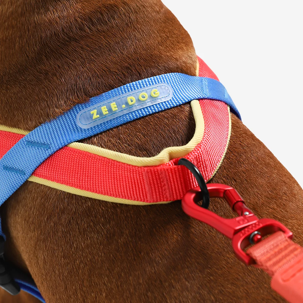 Peitoral Antipuxão SofterWalk para Cachorros Mellow