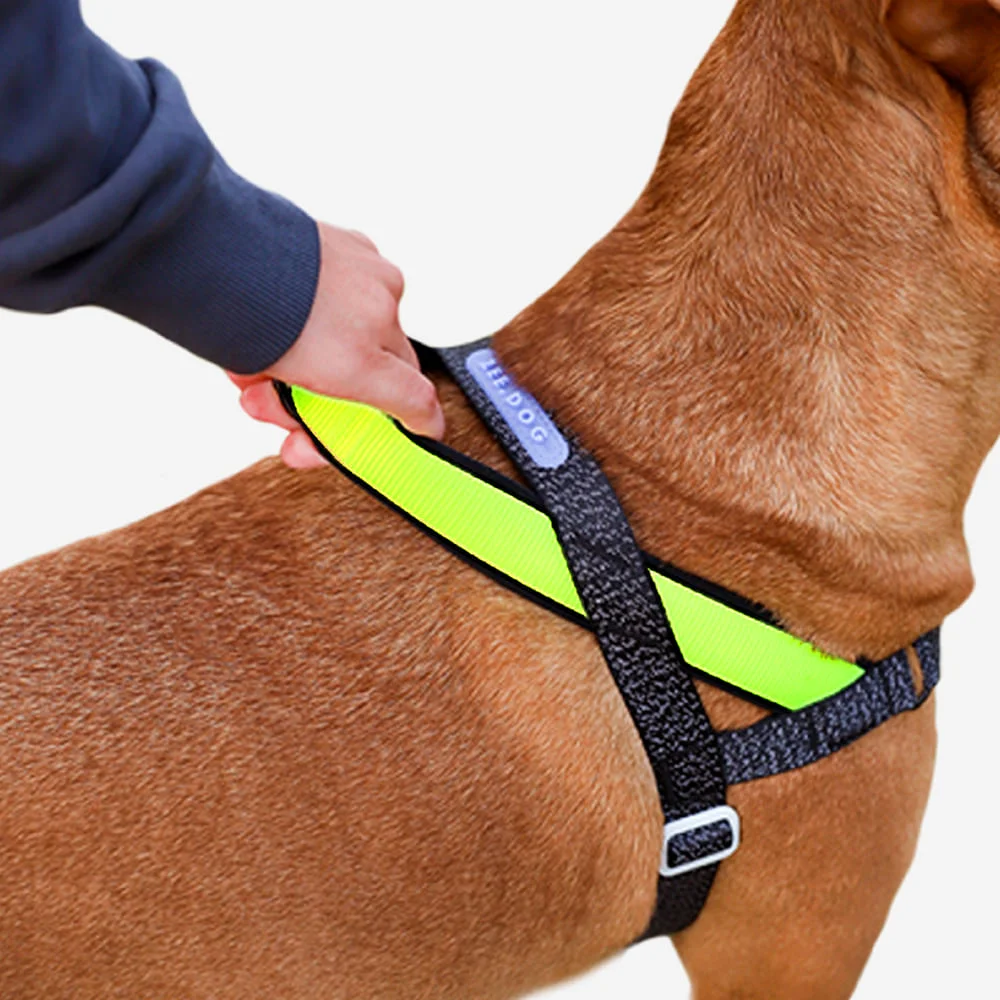 Peitoral Antipuxão SofterWalk para Cachorros Nox