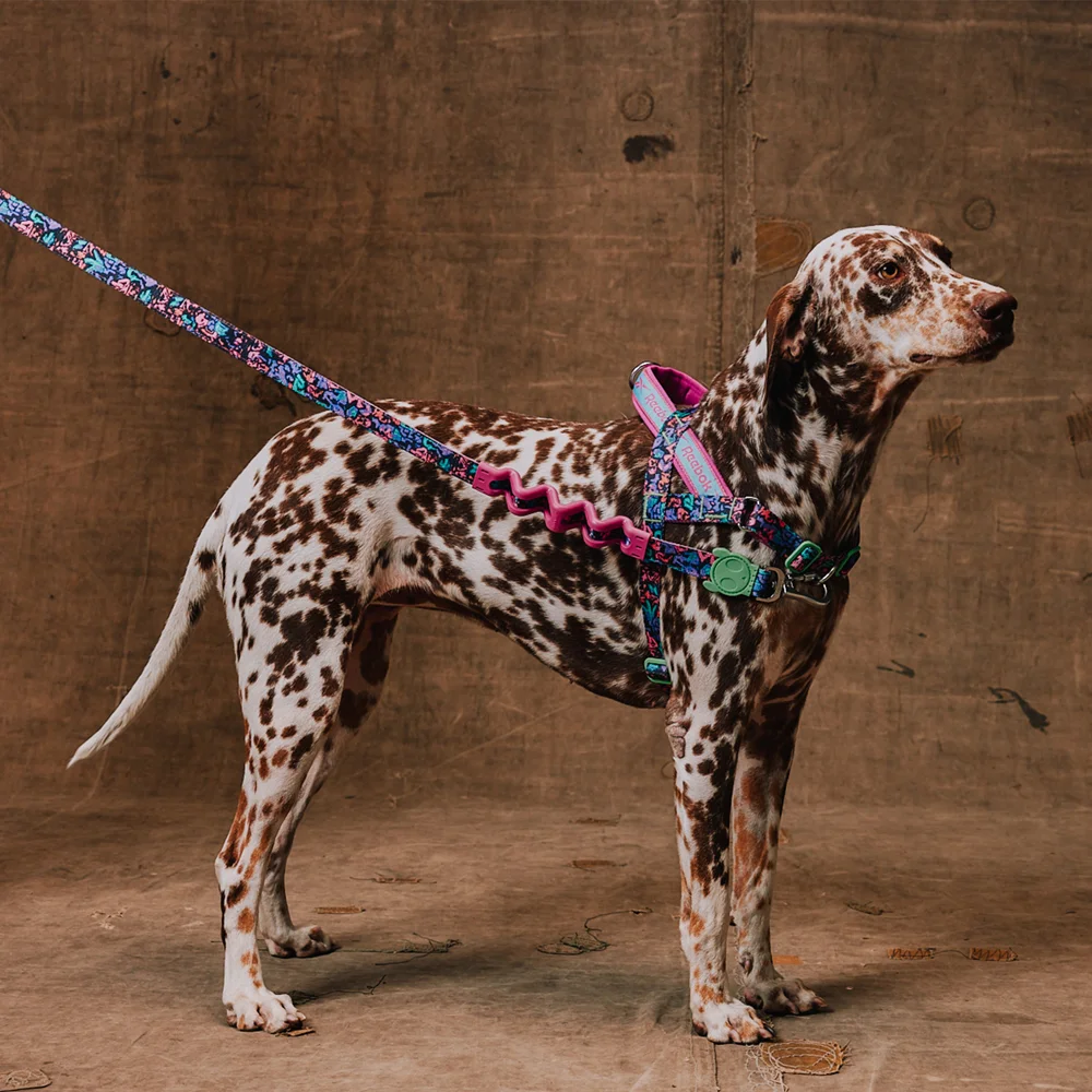 Peitoral Antipuxão SofterWalk para Cachorros Reebok Aerobic