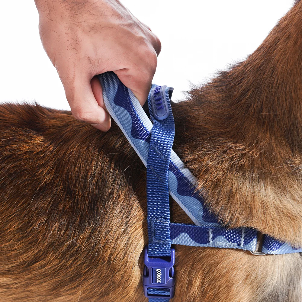 Peitoral Antipuxão SofterWalk para Cachorros Swell