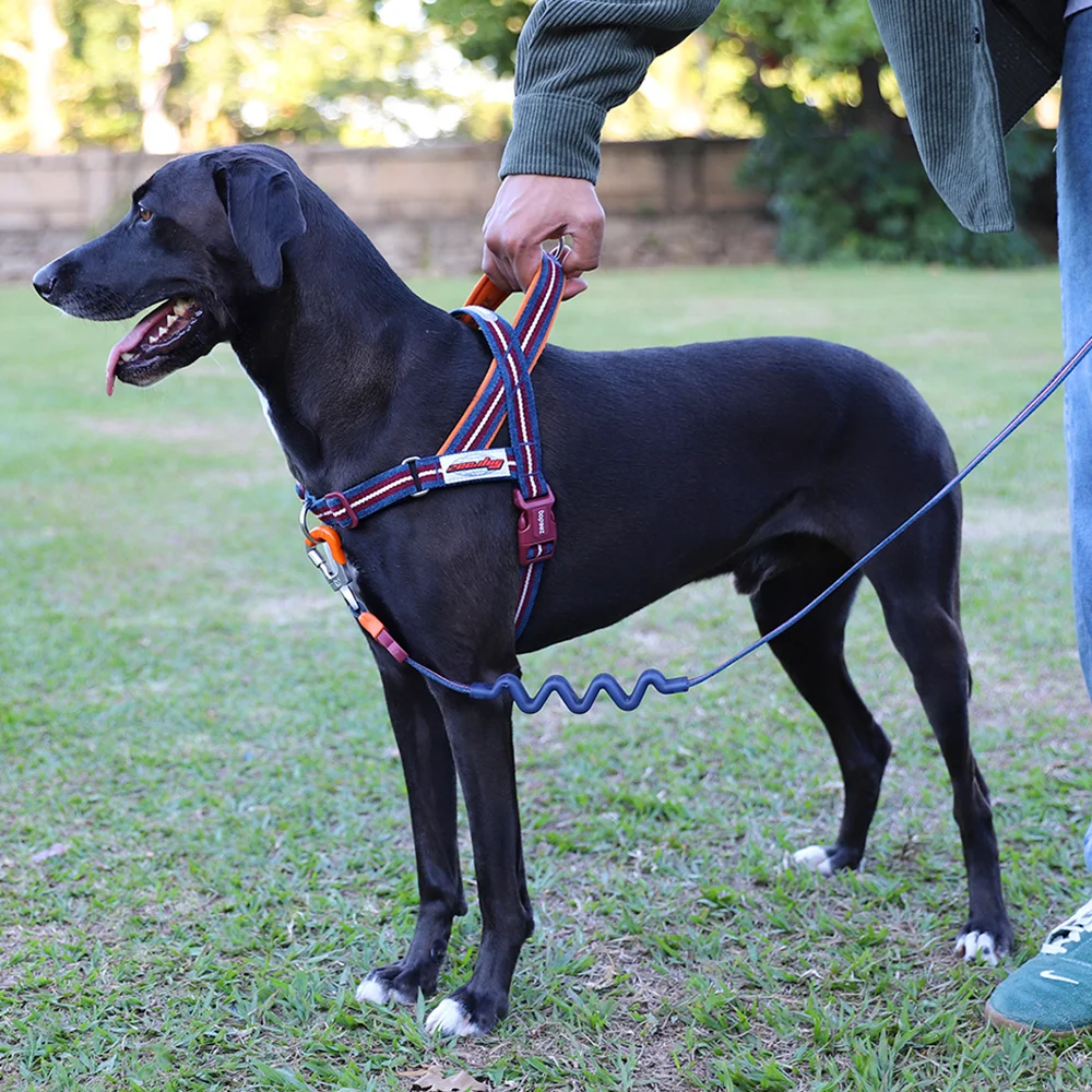Peitoral Antipuxão SofterWalk para Cachorros Velvet Vibes Dropout