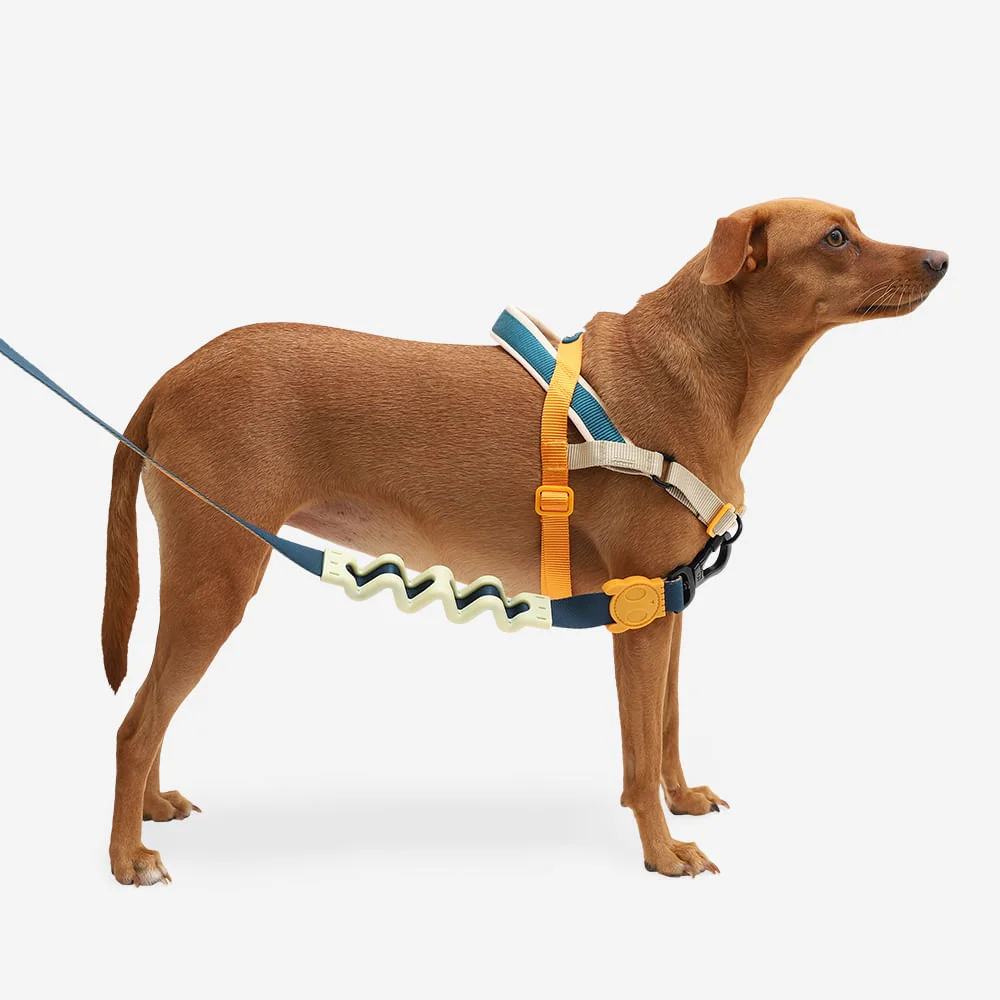 Peitoral Antipuxão SofterWalk para Cachorros Voyage