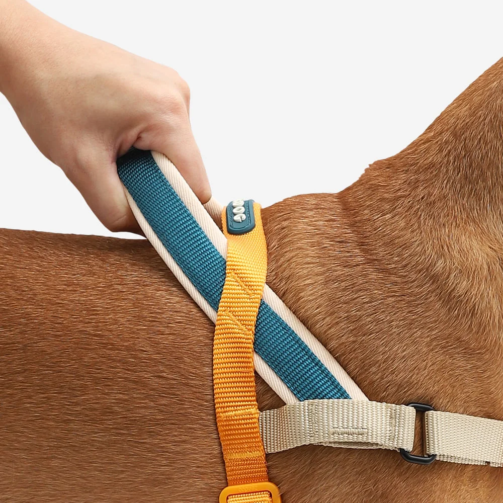 Peitoral Antipuxão SofterWalk para Cachorros Voyage