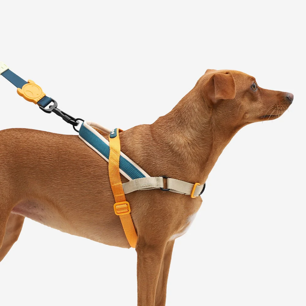 Peitoral Antipuxão SofterWalk para Cachorros Voyage