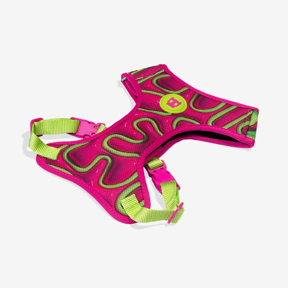 Peitoral para Cachorros Air Mesh Ajustável H3D Jelly