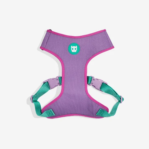 Peitoral para Cachorros Air Mesh Ajustável Jacquard Aura