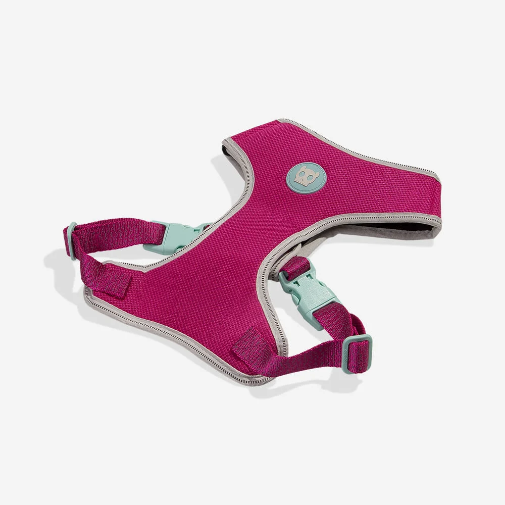 Peitoral para Cachorros Air Mesh Ajustável NOX Sidus