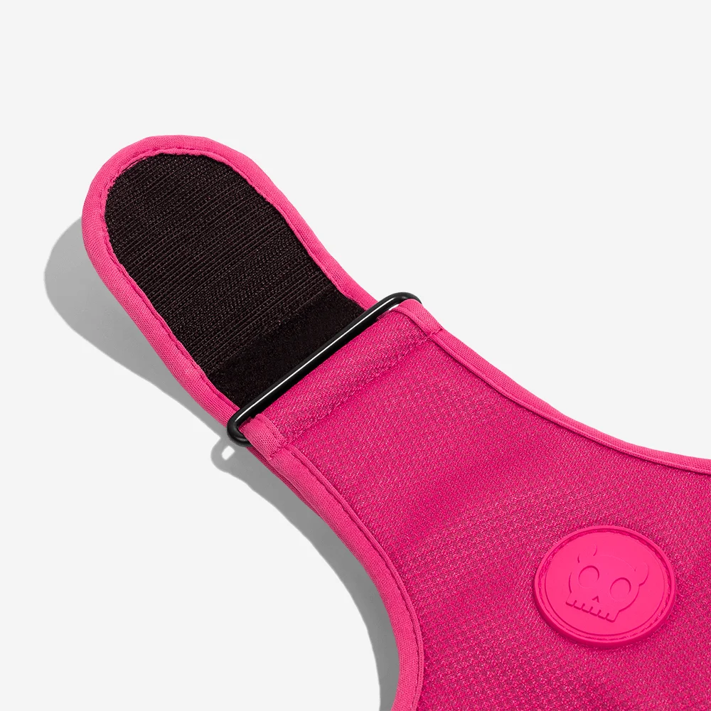 Peitoral para Cachorros Air Mesh Ajustável Pink Led