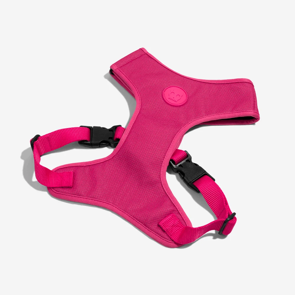 Peitoral para Cachorros Air Mesh Ajustável Pink Led