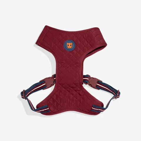 Peitoral para Cachorros Air Mesh Ajustável Velvet Vibes Dropout