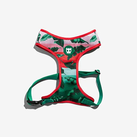 Peitoral para Cachorros Air Mesh Bali