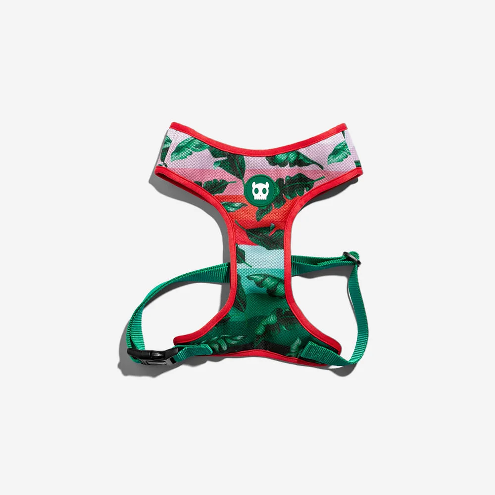 Peitoral para Cachorros Air Mesh Bali