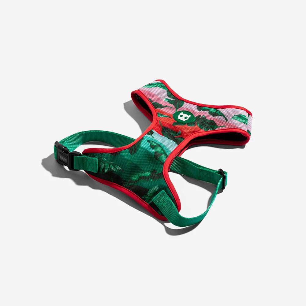 Peitoral para Cachorros Air Mesh Bali