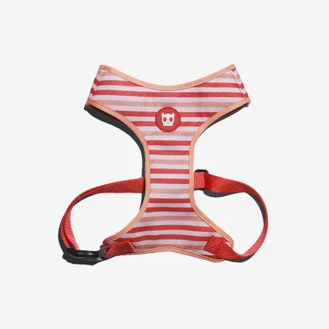 Peitoral para Cachorros Air Mesh Peppermint